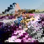 Nongnoot Phatcharin profile icon