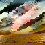 nor shazwani bt mohd profile icon