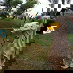 Fina Nur'arpiani profile icon