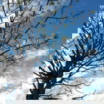 Marwah A. Sudmar profile icon