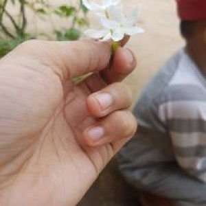 Defi Eka profile icon