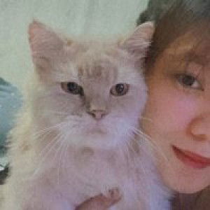 Airashī profile icon