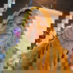 Oktavia Santiyani profile icon