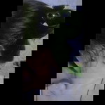 Kurniatul Khotimah profile icon