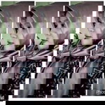 Inersia Nicken profile icon