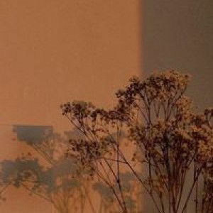 Mellyn Saskia profile icon