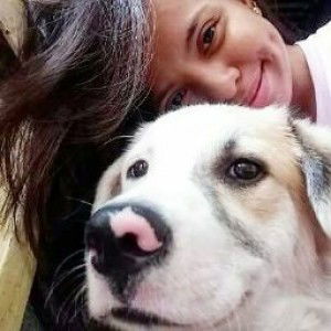 Raj Panaligan profile icon