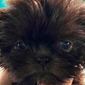 Bernadeth Fabia profile icon