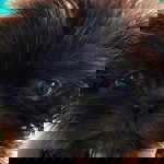 Bernadeth Fabia profile icon