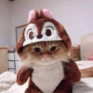 Sampeu Hipu profile icon