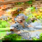 Thu Hà Đặng profile icon