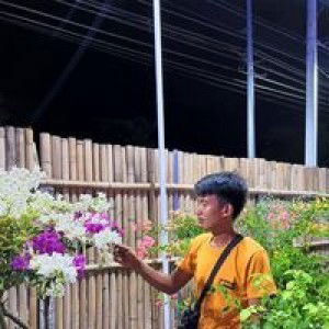 Josh Anne Palac Naballin profile icon