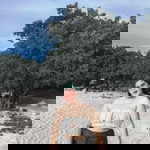 Siriphon Pinta profile icon