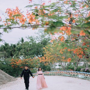 Jolly Tanglib profile icon