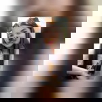 Ellaine Eron Gray profile icon