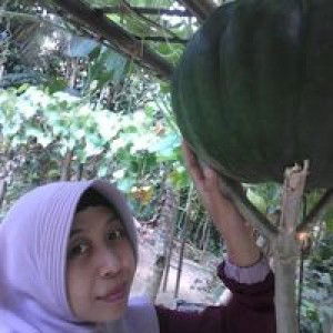 Kurniyasih profile icon