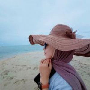 Dina Lorensa profile icon