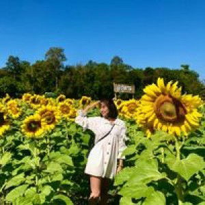 Ja-aey Wanida profile icon