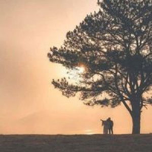 Xiaobai Yang profile icon