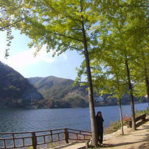 Nur Syakirah CAN profile icon