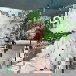 Asisah Lateh profile icon