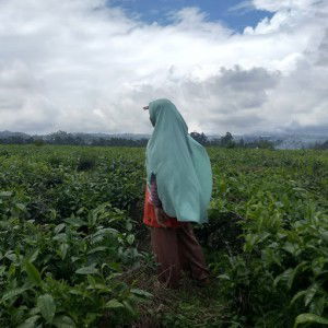 Wulan bundamerah profile icon