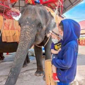 Nichakarn kluerngphudsa profile icon