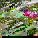 Sutri Yani profile icon