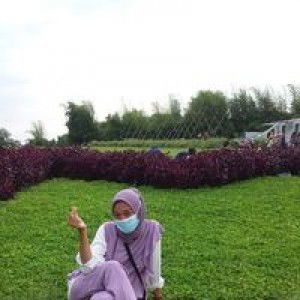 Alparizal profile icon