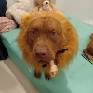 สุจิตรา ประสานนานุรักษ์ profile icon