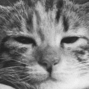 Bileiii ailis profile icon