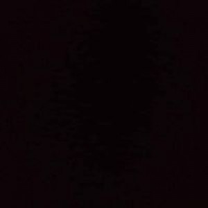 ดี แซ่เล่า profile icon