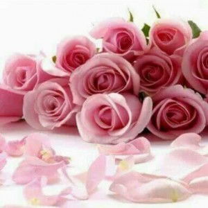 Ida Farida profile icon