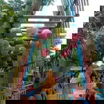 Marini Bim Bim profile icon