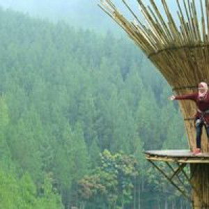 Dahliadevi Susanti profile icon