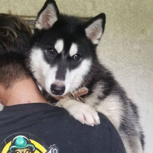 Deocelyn Centillo profile icon