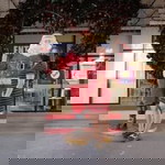 Maryrose Toledo profile icon