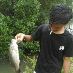 Mits Uki Kun profile icon