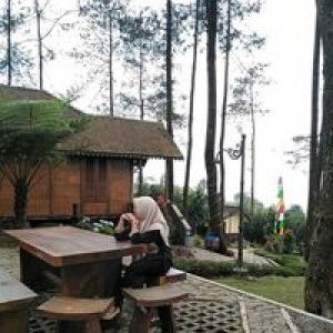 Yuni Yuntel profile icon