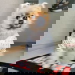 Sirinda Dhamnugurugara profile icon
