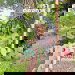 เมทินี หล้าวงศ์ profile icon