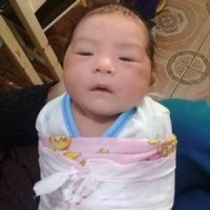 Aan Anjarpratama profile icon