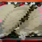 yolly caccam profile icon