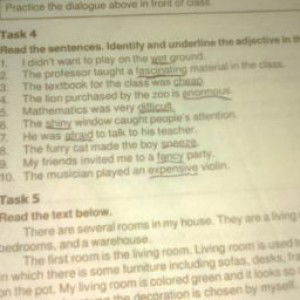 Anak Jambi profile icon