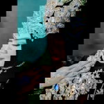 Devi Trisna profile icon