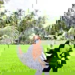 Nor Ameera Azmi profile icon