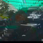 ประกายดาว ว่องไว profile icon