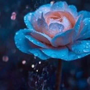 Sri Yanti Luthfi profile icon