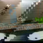 ฟินกลับ ซีรี่ดีฟ่า profile icon