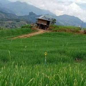 Erwhin Jones Putra Martinius profile icon